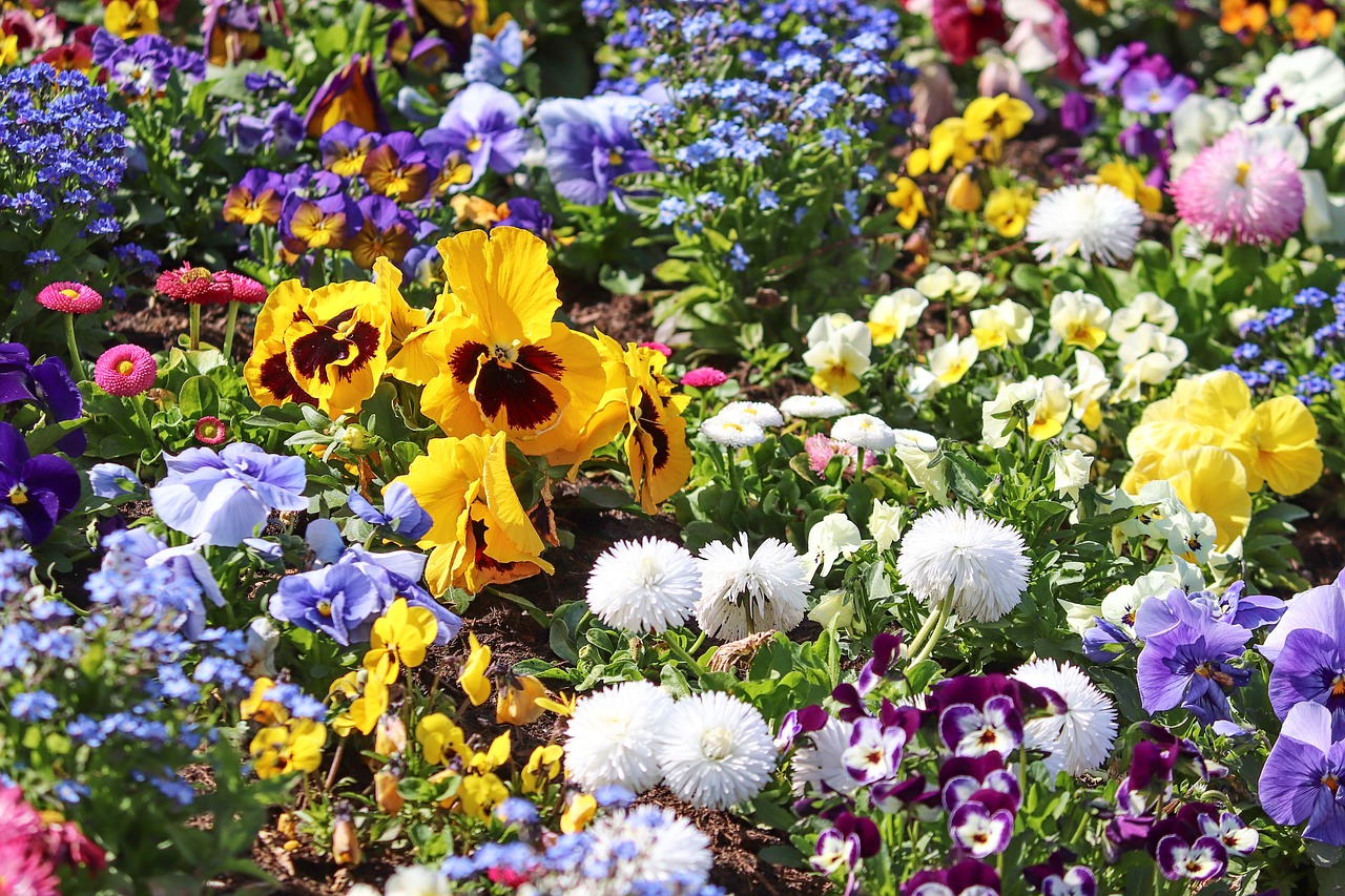 秋の花壇の花はお洒落に オススメの花１０選 ころころブログ